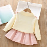 Conjunto Infantil Tricô e Saia Plissada Bunny